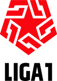 瓦努科大学